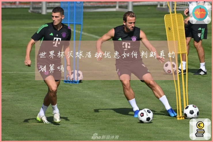 世界杯买球活动优惠如何判断真的划算吗