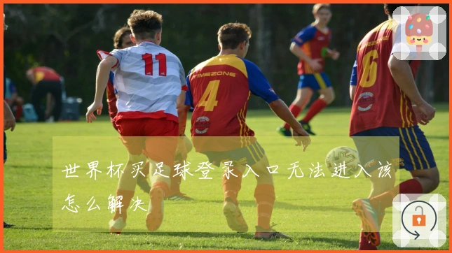 世界杯买足球登录入口无法进入该怎么解决